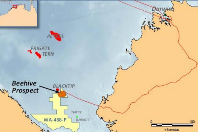 MEO Step Closer to Beehive Farm-Out 