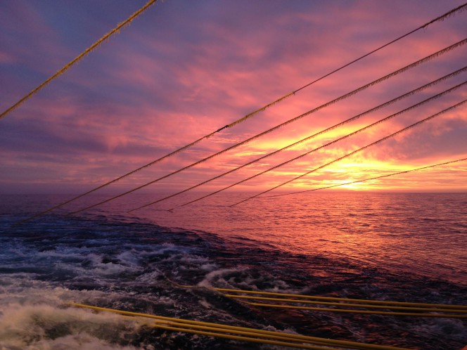 Ophir Hire Dolphin for Myanmar Seismic Job