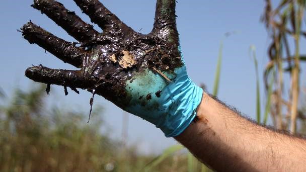 Worse Blowout Warning On BP Spill Anniversary